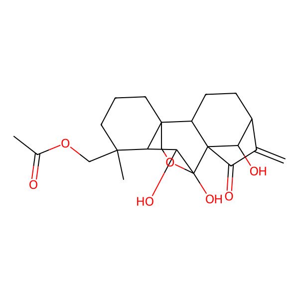2D Structure of [(2S,9R,10S,11R)-9,10,18-trihydroxy-12-methyl-6-methylidene-7-oxo-17-oxapentacyclo[7.6.2.15,8.01,11.02,8]octadecan-12-yl]methyl acetate
