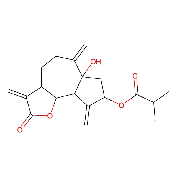 2D Structure of (6a-hydroxy-3,6,9-trimethylidene-2-oxo-4,5,7,8,9a,9b-hexahydro-3aH-azuleno[4,5-b]furan-8-yl) 2-methylpropanoate
