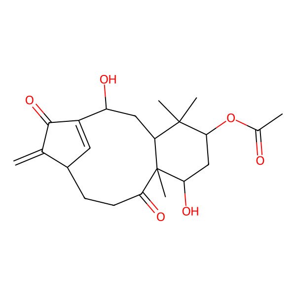 2D Structure of [(2R,4R,6S,8S,9S,13R)-2,8-dihydroxy-5,5,9-trimethyl-14-methylidene-10,15-dioxo-6-tricyclo[11.2.1.04,9]hexadec-1(16)-enyl] acetate