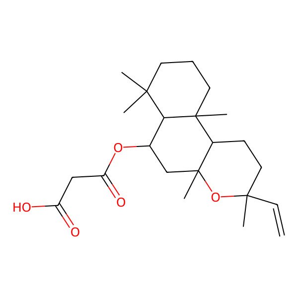 2D Structure of 3-[(3-ethenyl-3,4a,7,7,10a-pentamethyl-2,5,6,6a,8,9,10,10b-octahydro-1H-benzo[f]chromen-6-yl)oxy]-3-oxopropanoic acid
