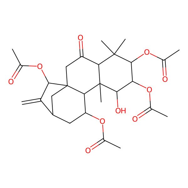 2D Structure of [(1S,4R,6R,7S,10R,11S,13S,15R)-6,7,15-triacetyloxy-8-hydroxy-5,5,9-trimethyl-14-methylidene-3-oxo-11-tetracyclo[11.2.1.01,10.04,9]hexadecanyl] acetate