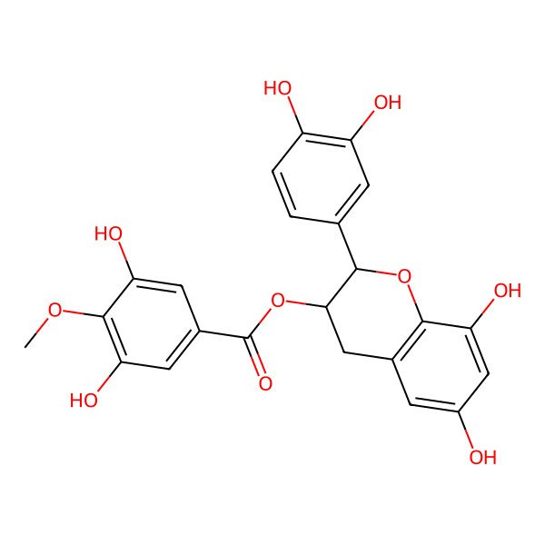 2D Structure of [(2R,3R)-2-(3,4-dihydroxyphenyl)-6,8-dihydroxy-3,4-dihydro-2H-chromen-3-yl] 3,5-dihydroxy-4-methoxybenzoate