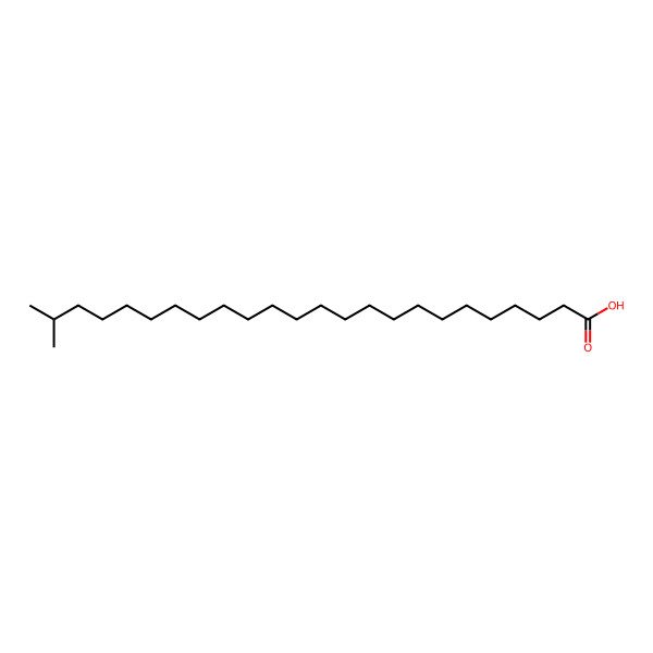 2D Structure of 23-Methyl-tetracosanoic acid