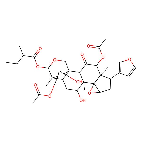 2D Structure of [(1S,2R,4R,5R,6S,8R,10S,11S,12R,14R,15S,16S,19S,21R)-4,21-diacetyloxy-6-(furan-3-yl)-12,19-dihydroxy-5,11,15-trimethyl-3-oxo-9,17-dioxahexacyclo[13.3.3.01,14.02,11.05,10.08,10]henicosan-16-yl] 2-methylbutanoate