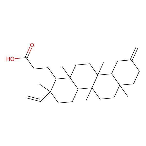2D Structure of 3-(2-Ethenyl-2,4b,6a,10b,12a-pentamethyl-9-methylidene-1,3,4,4a,5,6,7,8,10,10a,11,12-dodecahydrochrysen-1-yl)propanoic acid 2D Structure of 3-(2-Ethenyl-2,4b,6a,10b,12a-pentamethyl-9-methylidene-1,3,4,4a,5,6,7,8,10,10a,11,12-dodecahydrochrysen-1-yl)propanoic acid