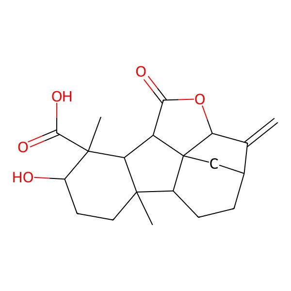 2D Structure of 8-Hydroxy-5,9-dimethyl-17-methylidene-12-oxo-13-oxapentacyclo[12.2.1.04,15.05,10.011,15]heptadecane-9-carboxylic acid