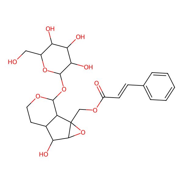 2D Structure of [5-Hydroxy-10-[3,4,5-trihydroxy-6-(hydroxymethyl)oxan-2-yl]oxy-3,9-dioxatricyclo[4.4.0.02,4]decan-2-yl]methyl 3-phenylprop-2-enoate