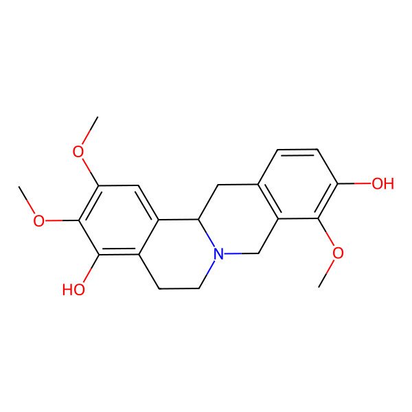 2D Structure of 2,3,9-trimethoxy-6,8,13,13a-tetrahydro-5H-isoquinolino[2,1-b]isoquinoline-4,10-diol