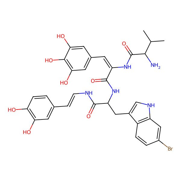 2D Structure of (2R)-2-amino-N-[(Z)-3-[[(2S)-3-(6-bromo-1H-indol-3-yl)-1-[[(E)-2-(3,4-dihydroxyphenyl)ethenyl]amino]-1-oxopropan-2-yl]amino]-3-oxo-1-(3,4,5-trihydroxyphenyl)prop-1-en-2-yl]-3-methylbutanamide