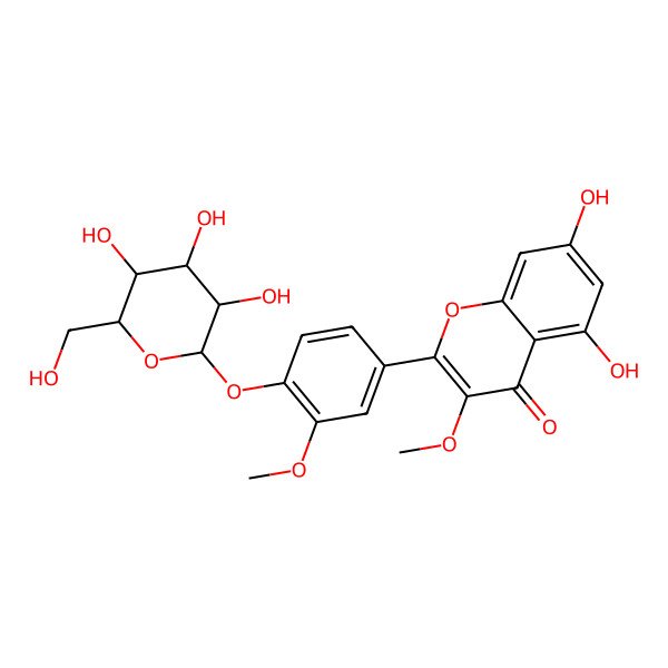 2D Structure of 5,7-dihydroxy-3-methoxy-2-[3-methoxy-4-[(2S,3R,4R,5S,6R)-3,4,5-trihydroxy-6-(hydroxymethyl)oxan-2-yl]oxyphenyl]chromen-4-one