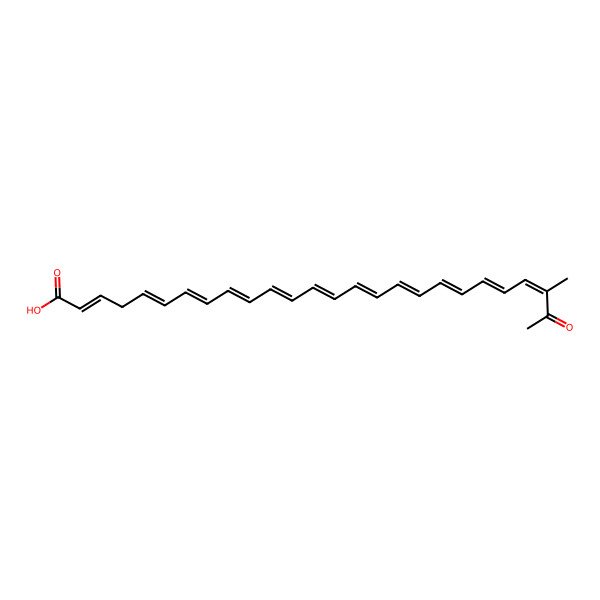 2D Structure of 24-Methyl-25-oxohexacosa-2,5,7,9,11,13,15,17,19,21,23-undecaenoic acid