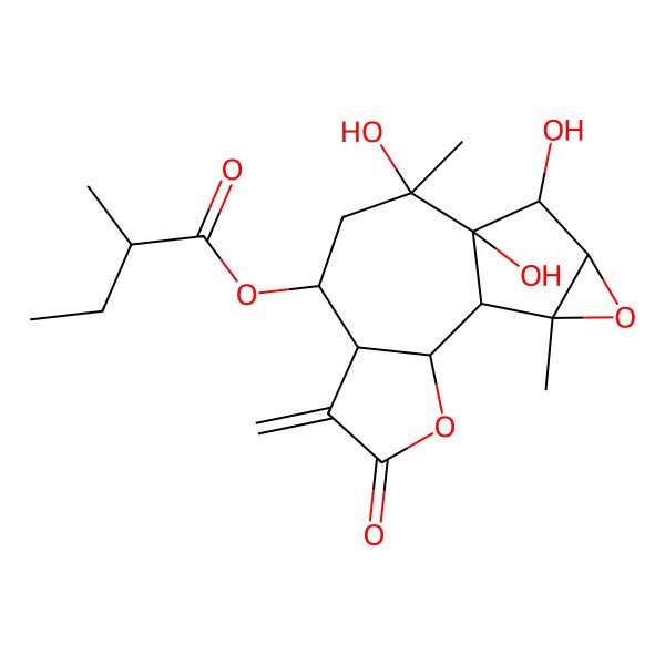 2D Structure of [(1R,2S,6R,7S,9R,10S,11S,12R,14S)-9,10,11-trihydroxy-9,14-dimethyl-5-methylidene-4-oxo-3,13-dioxatetracyclo[8.4.0.02,6.012,14]tetradecan-7-yl] (2R)-2-methylbutanoate