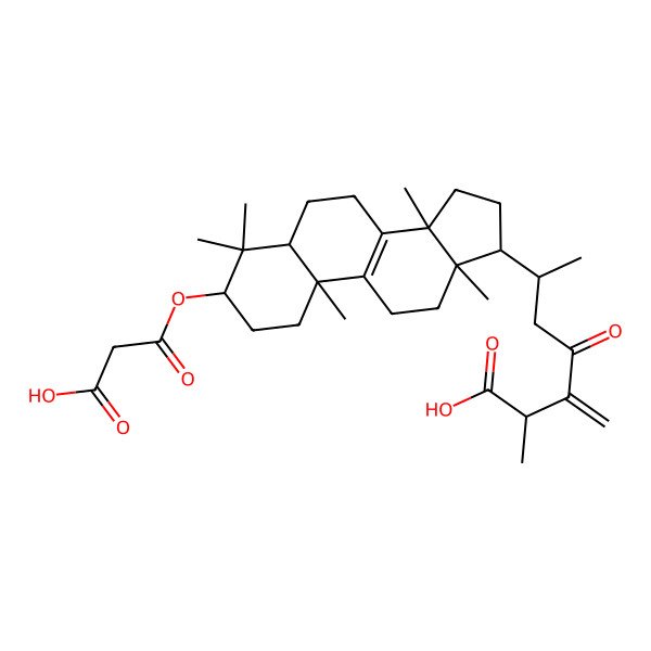2D Structure of 24(31)-Dehydrocarboxyacetylquercinic acid