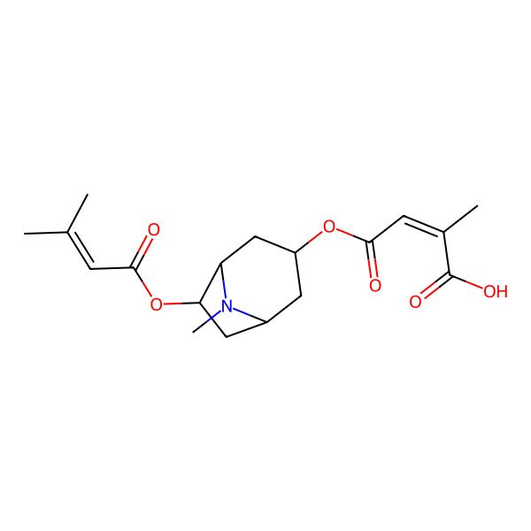 2D Structure of (E)-2-methyl-4-[[(1R,3R,5S,6R)-8-methyl-6-(3-methylbut-2-enoyloxy)-8-azabicyclo[3.2.1]octan-3-yl]oxy]-4-oxobut-2-enoic acid