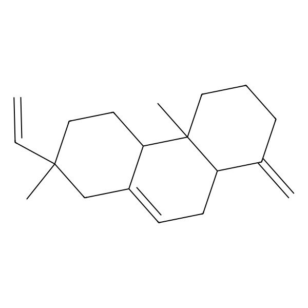 2D Structure of 2,4b-Dimethyl-8-methylene-2-vinyl-1,2,3,4,4a,4b,5,6,7,8,8a,9-dodecahydrophenanthrene 2D Structure of 2,4b-Dimethyl-8-methylene-2-vinyl-1,2,3,4,4a,4b,5,6,7,8,8a,9-dodecahydrophenanthrene