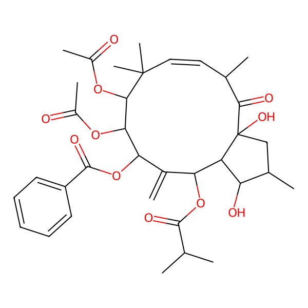 2D Structure of [9,10-diacetyloxy-1,3a-dihydroxy-2,5,8,8-tetramethyl-12-methylidene-13-(2-methylpropanoyloxy)-4-oxo-2,3,5,9,10,11,13,13a-octahydro-1H-cyclopenta[12]annulen-11-yl] benzoate