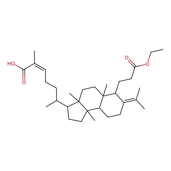 2D Structure of (24E)-3,4-seco-cucurbita-4,24-diene-26-oic acid-3-ethyl ester