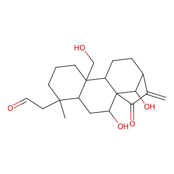 2D Structure of 2-[(1R,2R,4R,5R,9S,10S,13S,16R)-2,16-dihydroxy-9-(hydroxymethyl)-5-methyl-14-methylidene-15-oxo-5-tetracyclo[11.2.1.01,10.04,9]hexadecanyl]acetaldehyde