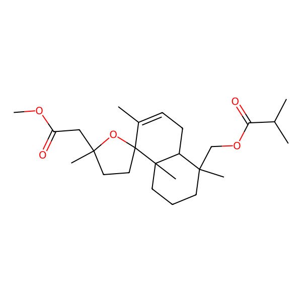 2D Structure of [5'-(2-methoxy-2-oxoethyl)-1,4a,5',6-tetramethylspiro[3,4,8,8a-tetrahydro-2H-naphthalene-5,2'-oxolane]-1-yl]methyl 2-methylpropanoate