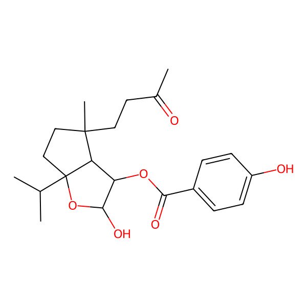 2D Structure of [2-hydroxy-4-methyl-4-(3-oxobutyl)-6a-propan-2-yl-3,3a,5,6-tetrahydro-2H-cyclopenta[b]furan-3-yl] 4-hydroxybenzoate
