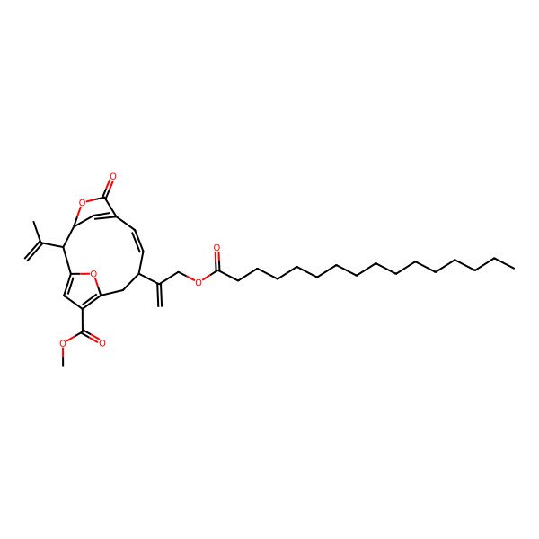 2D Structure of methyl (2R,3R,7Z,9S)-9-(3-hexadecanoyloxyprop-1-en-2-yl)-5-oxo-2-prop-1-en-2-yl-4,14-dioxatricyclo[9.2.1.13,6]pentadeca-1(13),6(15),7,11-tetraene-12-carboxylate