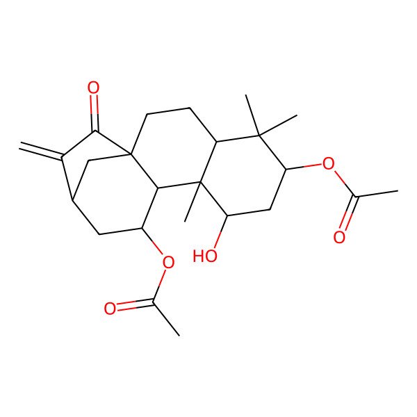 2D Structure of (6-Acetyloxy-8-hydroxy-5,5,9-trimethyl-14-methylidene-15-oxo-11-tetracyclo[11.2.1.01,10.04,9]hexadecanyl) acetate