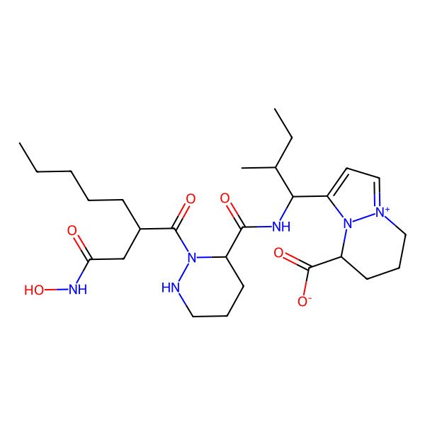 2D Structure of 3-[1-[[2-[2-[2-(Hydroxyamino)-2-oxoethyl]heptanoyl]diazinane-3-carbonyl]amino]-2-methylbutyl]-5,6,7,8-tetrahydropyrazolo[1,2-a]pyridazin-9-ium-5-carboxylate