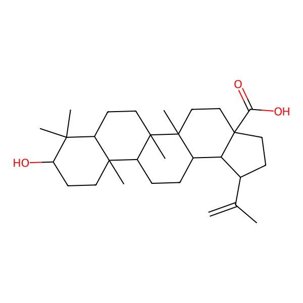 2D Structure of (1R,3aS,5aR,5bR,7aR,9R,11aR,11bR,13aR,13bS)-9-hydroxy-5a,5b,8,8,11a-pentamethyl-1-prop-1-en-2-yl-1,2,3,4,5,6,7,7a,9,10,11,11b,12,13,13a,13b-hexadecahydrocyclopenta[a]chrysene-3a-carboxylic acid