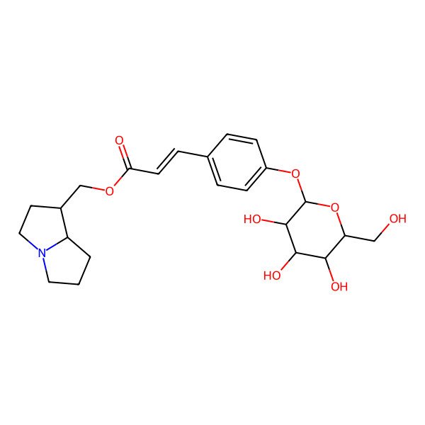 2D Structure of [(1R,8S)-2,3,5,6,7,8-hexahydro-1H-pyrrolizin-1-yl]methyl (E)-3-[4-[(2S,3R,4S,5S,6R)-3,4,5-trihydroxy-6-(hydroxymethyl)oxan-2-yl]oxyphenyl]prop-2-enoate