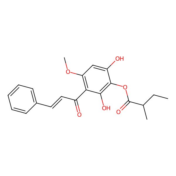 2D Structure of [2,6-dihydroxy-4-methoxy-3-[(E)-3-phenylprop-2-enoyl]phenyl] (2R)-2-methylbutanoate