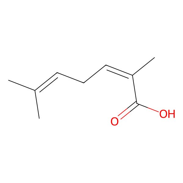 2D Structure of 2,6-Dimethylhepta-2,5-dienoic acid