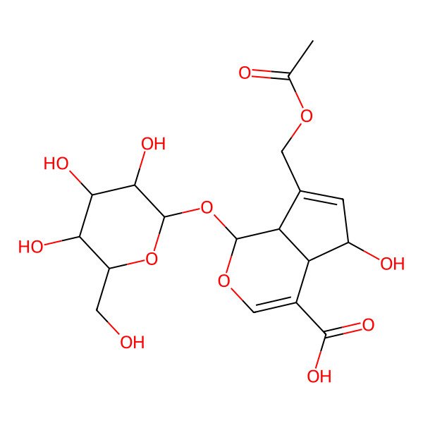 2D Structure of (1S,4aS,5R,7aS)-7-(acetyloxymethyl)-5-hydroxy-1-[(2S,3R,4S,5S,6R)-3,4,5-trihydroxy-6-(hydroxymethyl)oxan-2-yl]oxy-1,4a,5,7a-tetrahydrocyclopenta[c]pyran-4-carboxylic acid