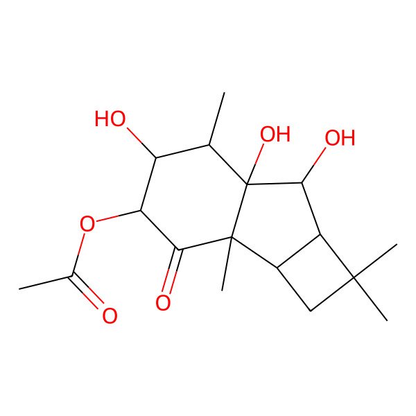 2D Structure of (5,6a,7-trihydroxy-1,1,2b,6-tetramethyl-3-oxo-2a,4,5,6,7,7a-hexahydro-2H-cyclobuta[a]inden-4-yl) acetate