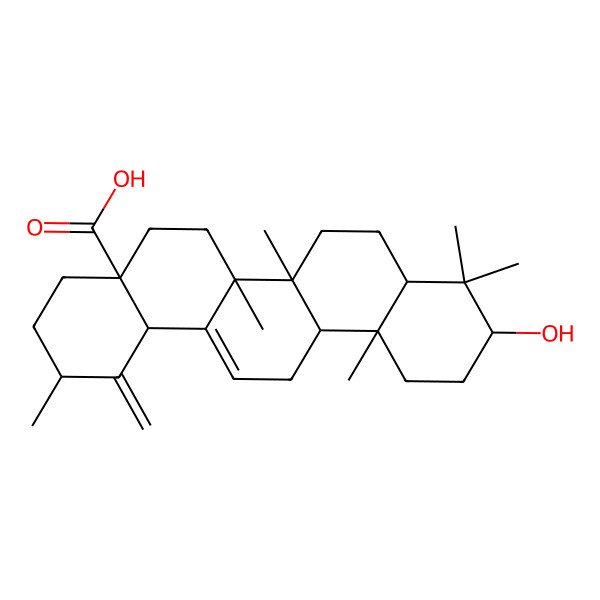 2D Structure of 10-Hydroxy-2,6a,6b,9,9,12a-hexamethyl-1-methylidene-2,3,4,5,6,6a,7,8,8a,10,11,12,13,14b-tetradecahydropicene-4a-carboxylic acid