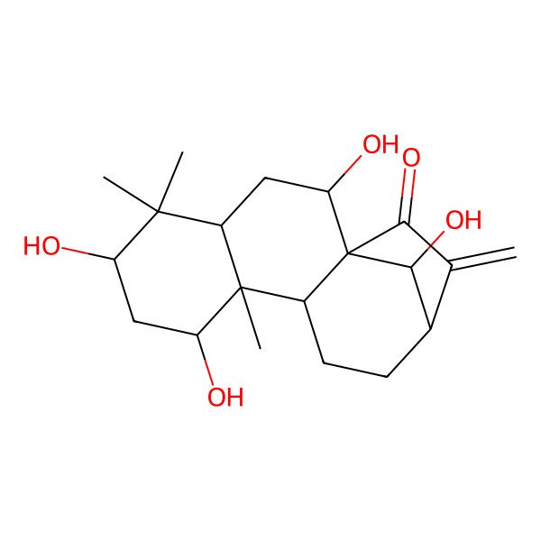 2D Structure of 2,6,8,16-Tetrahydroxy-5,5,9-trimethyl-14-methylidenetetracyclo[11.2.1.01,10.04,9]hexadecan-15-one