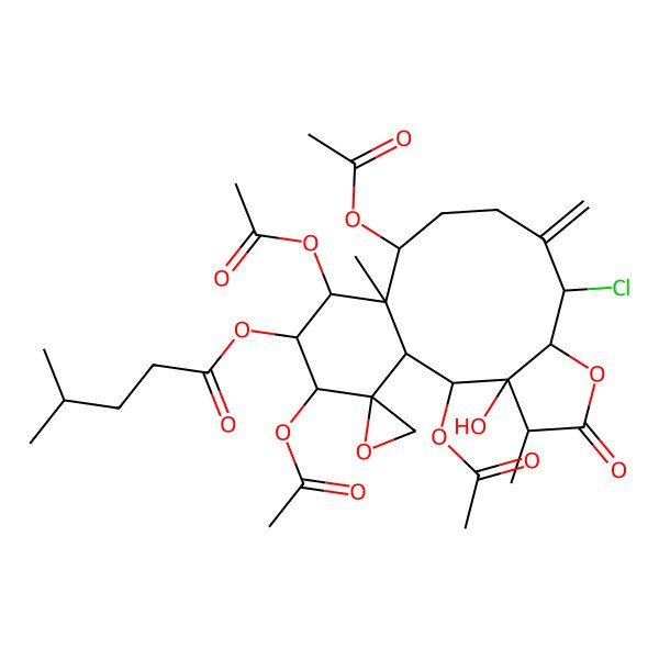 2D Structure of [(1S,2S,3R,4R,7R,8S,12S,13S,14R,15R,16R,17R)-2,12,14,16-tetraacetyloxy-8-chloro-3-hydroxy-4,13-dimethyl-9-methylidene-5-oxospiro[6-oxatricyclo[11.4.0.03,7]heptadecane-17,2'-oxirane]-15-yl] 4-methylpentanoate