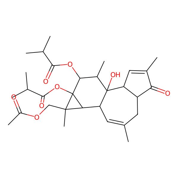 2D Structure of [(1R,2R,6S,10S,11R,12R,13S,14R,15R)-12-(acetyloxymethyl)-1-hydroxy-4,8,12,15-tetramethyl-13-(2-methylpropanoyloxy)-5-oxo-14-tetracyclo[8.5.0.02,6.011,13]pentadeca-3,8-dienyl] 2-methylpropanoate