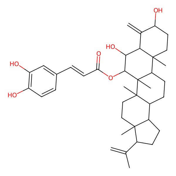 2D Structure of (7,9-Dihydroxy-3a,5a,5b,11a-tetramethyl-8-methylidene-3-prop-1-en-2-yl-1,2,3,4,5,6,7,7a,9,10,11,11b,12,13,13a,13b-hexadecahydrocyclopenta[a]chrysen-6-yl) 3-(3,4-dihydroxyphenyl)prop-2-enoate