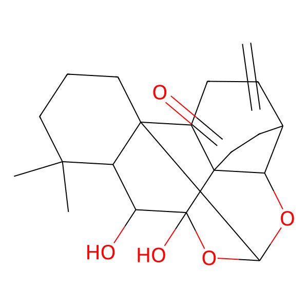 2D Structure of (1R,2S,5R,8R,9S,13S,14S,15R)-13,14-dihydroxy-16,16-dimethyl-6-methylidene-10,12-dioxahexacyclo[9.8.0.01,15.02,8.05,9.08,13]nonadecan-7-one