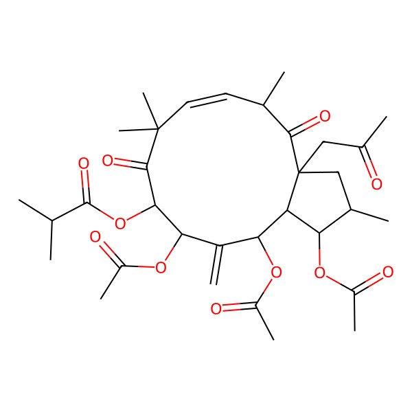 2D Structure of [(1S,2S,3aR,5R,6E,10R,11S,13R,13aR)-1,11,13-triacetyloxy-2,5,8,8-tetramethyl-12-methylidene-4,9-dioxo-3a-(2-oxopropyl)-1,2,3,5,10,11,13,13a-octahydrocyclopenta[12]annulen-10-yl] 2-methylpropanoate