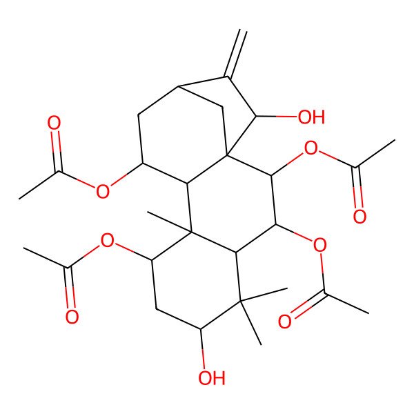 2D Structure of [(1S,2R,3R,4R,6S,8S,9R,10S,11S,13S,15R)-2,3,8-triacetyloxy-6,15-dihydroxy-5,5,9-trimethyl-14-methylidene-11-tetracyclo[11.2.1.01,10.04,9]hexadecanyl] acetate