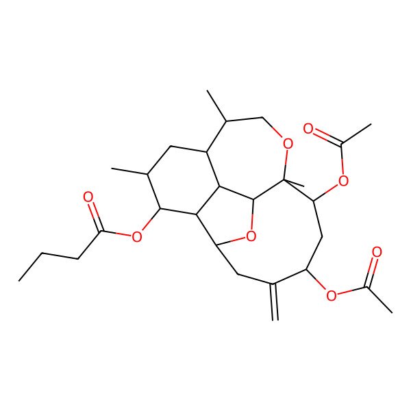 2D Structure of [(1S,2S,3R,4R,5R,7S,8R,11S,12R,14R,17S)-12,14-diacetyloxy-5,8,11-trimethyl-15-methylidene-10,18-dioxatetracyclo[9.7.0.02,7.03,17]octadecan-4-yl] butanoate