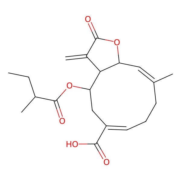 2D Structure of (3aS,4S,6Z,10E,11aR)-10-methyl-4-[(2R)-2-methylbutanoyl]oxy-3-methylidene-2-oxo-3a,4,5,8,9,11a-hexahydrocyclodeca[b]furan-6-carboxylic acid