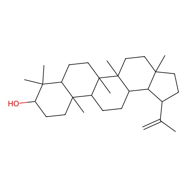 2D Structure of (1R,3aR,5aR,5bR,7aS,9R,11aR,11bR,13aR,13bR)-3a,5a,5b,8,8,11a-hexamethyl-1-prop-1-en-2-yl-1,2,3,4,5,6,7,7a,9,10,11,11b,12,13,13a,13b-hexadecahydrocyclopenta[a]chrysen-9-ol