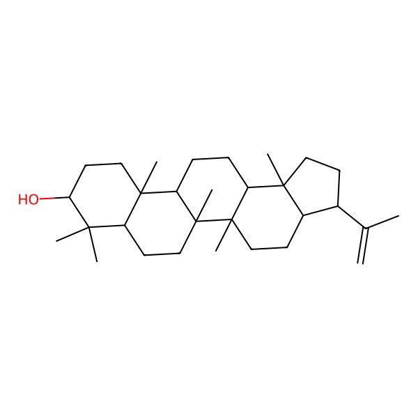 2D Structure of (3S,3aS,5aR,5bR,7aR,9S,11aR,11bS,13aR,13bS)-5a,5b,8,8,11a,13b-hexamethyl-3-prop-1-en-2-yl-1,2,3,3a,4,5,6,7,7a,9,10,11,11b,12,13,13a-hexadecahydrocyclopenta[a]chrysen-9-ol