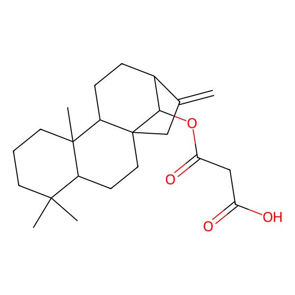2D Structure of 3-Oxo-3-[(5,5,9-trimethyl-14-methylidene-16-tetracyclo[11.2.1.01,10.04,9]hexadecanyl)oxy]propanoic acid