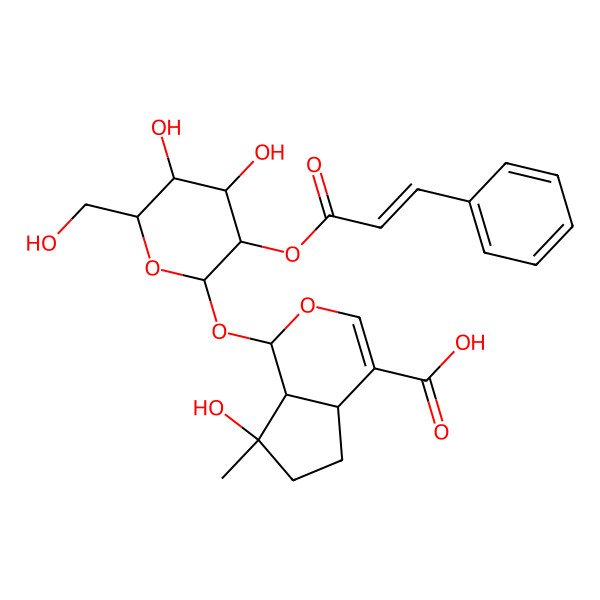 2D Structure of (1S,4aS,7R,7aS)-1-[(2S,3R,4S,5S,6R)-4,5-dihydroxy-6-(hydroxymethyl)-3-[(E)-3-phenylprop-2-enoyl]oxyoxan-2-yl]oxy-7-hydroxy-7-methyl-4a,5,6,7a-tetrahydro-1H-cyclopenta[c]pyran-4-carboxylic acid