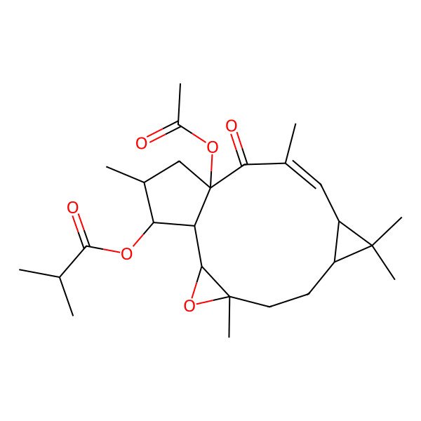 2D Structure of [(1R,2S,4S,7S,9R,10E,13R,15S,16S)-13-acetyloxy-4,8,8,11,15-pentamethyl-12-oxo-3-oxatetracyclo[11.3.0.02,4.07,9]hexadec-10-en-16-yl] 2-methylpropanoate