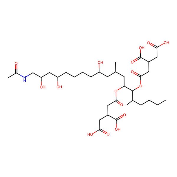 2D Structure of 2-[2-[19-Acetamido-6-(3,4-dicarboxybutanoyloxy)-11,16,18-trihydroxy-5,9-dimethylnonadecan-7-yl]oxy-2-oxoethyl]butanedioic acid