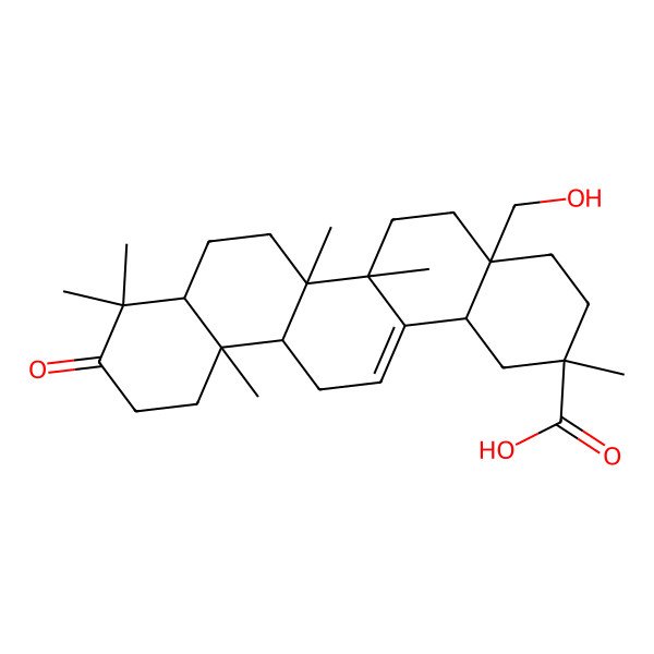 2D Structure of 28-Hydroxy-3-oxoolean-12-en-29-oic acid 2D Structure of 28-Hydroxy-3-oxoolean-12-en-29-oic acid
